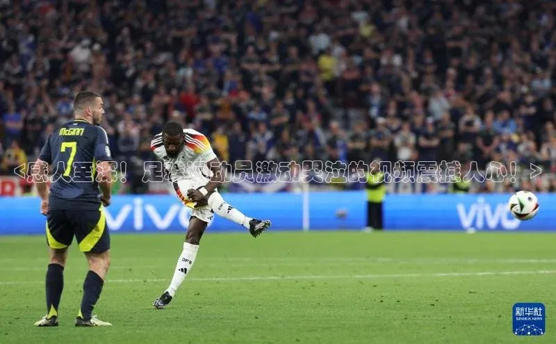 尊龙官网入口百度翻译App