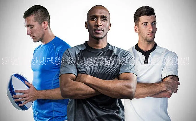 尊龙人生就是博中国区一径科技