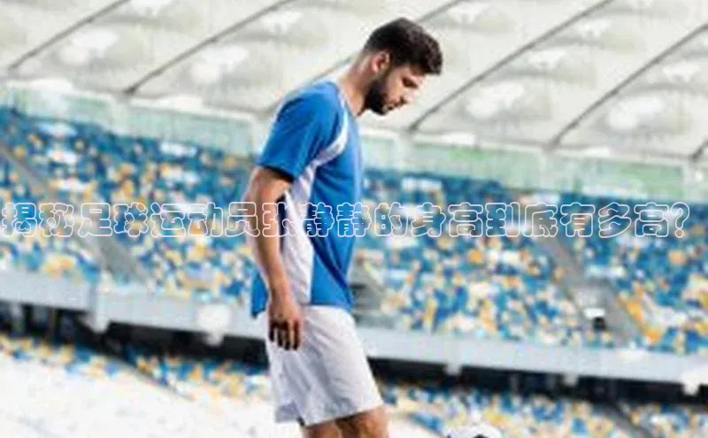 人生搏中国官网入口京东