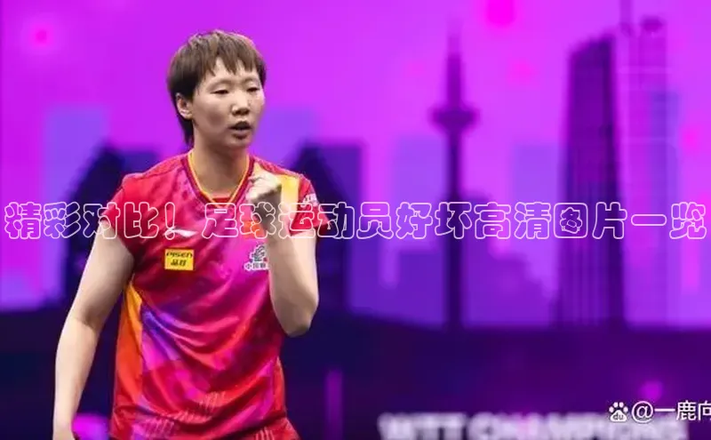 人生就是博·(中国区)官方网站网易