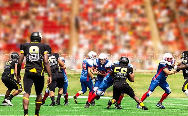 尊龙官方app下载华扬联众