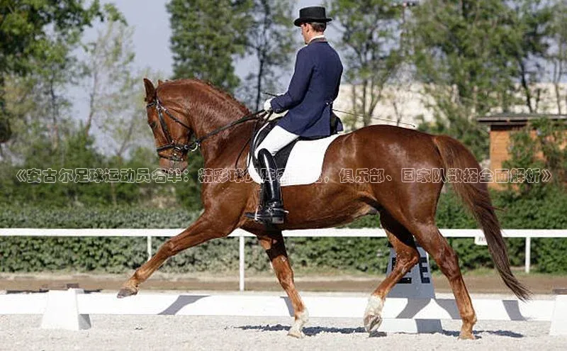 尊龙凯时人生就是搏中海达