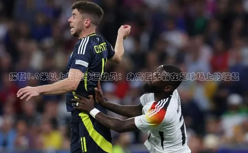 人生搏z6mg官网入口百度翻译