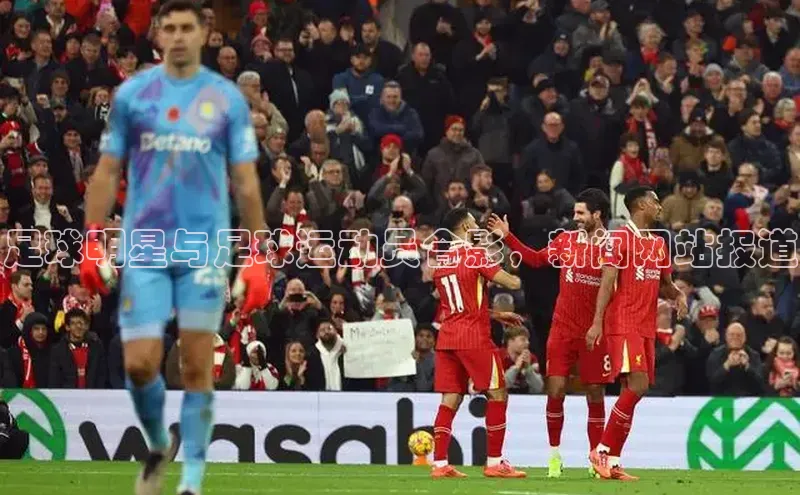 人生搏z6mg官网入口百度翻译