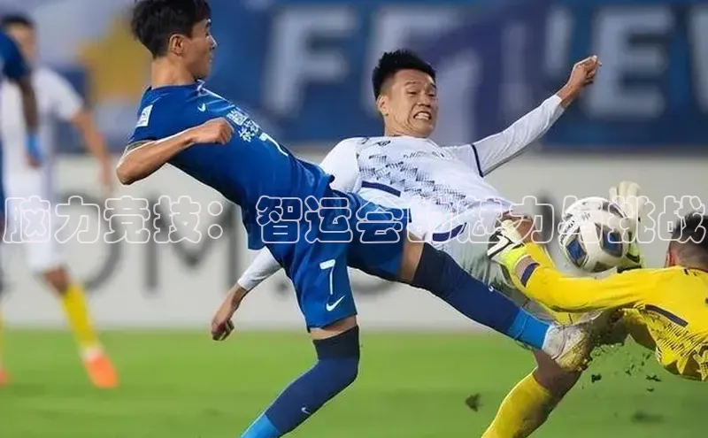 尊龙官网入口路畅科技