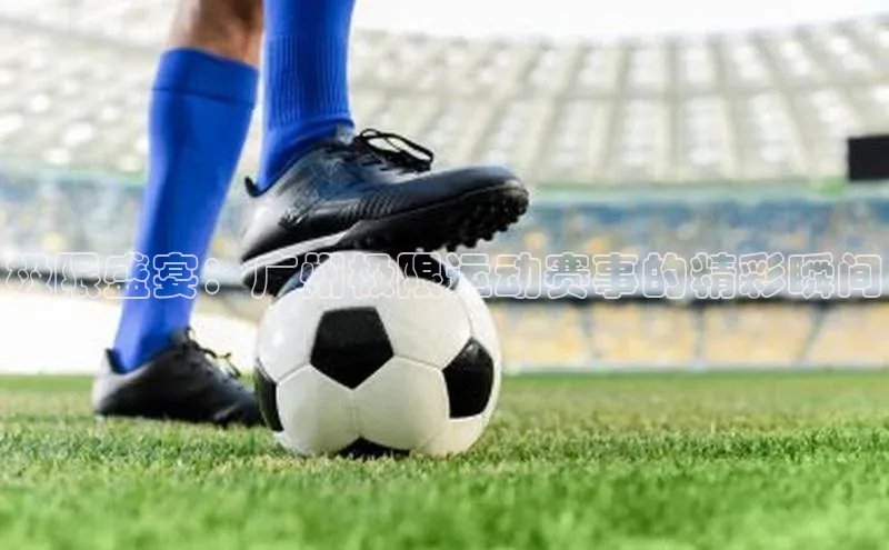 人生就是博·(中国)