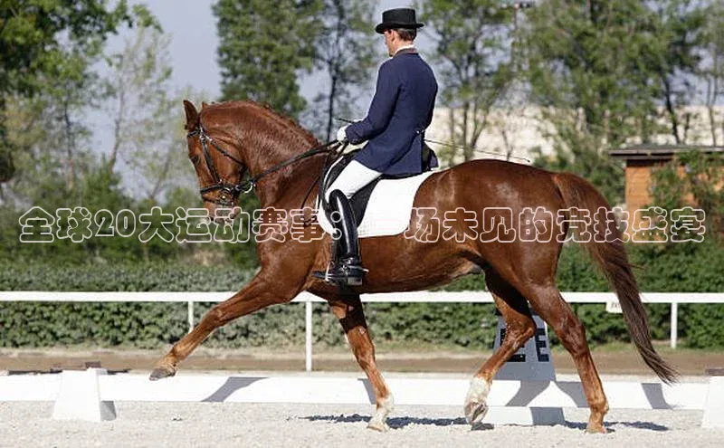 尊龙网站人生就是博