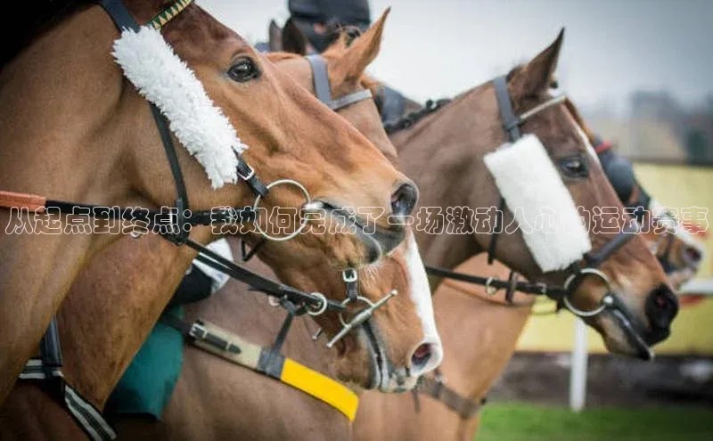尊龙凯时人生就是搏官方登录bjl8