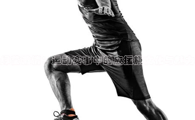 z6mg尊龙官方网站进入